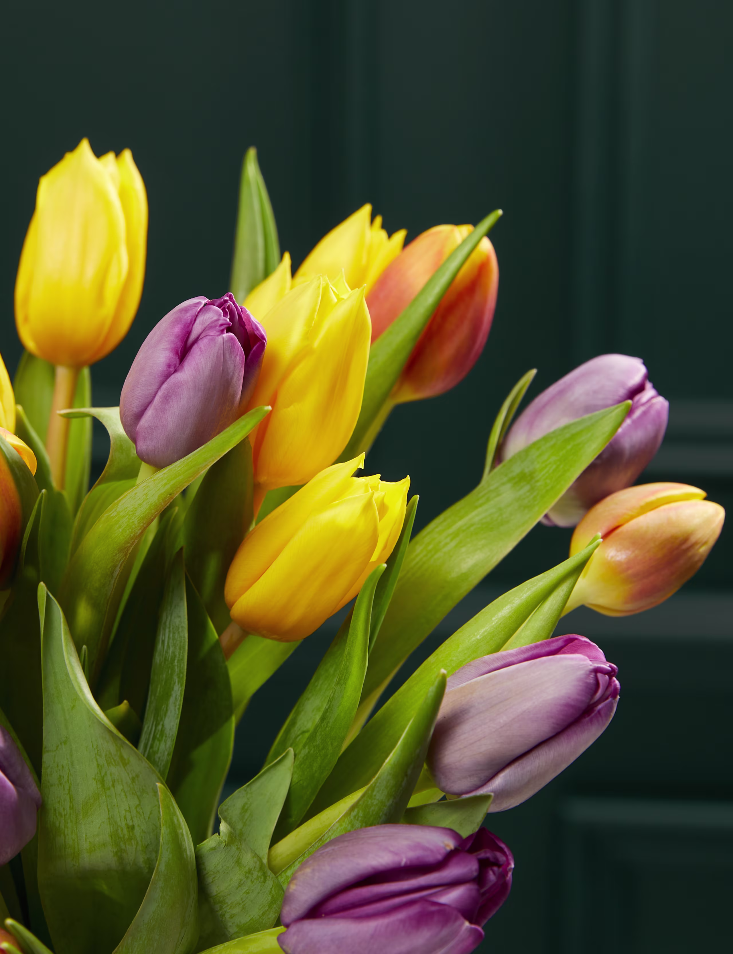 Parlak & Göz Alıcı Lale Buketi